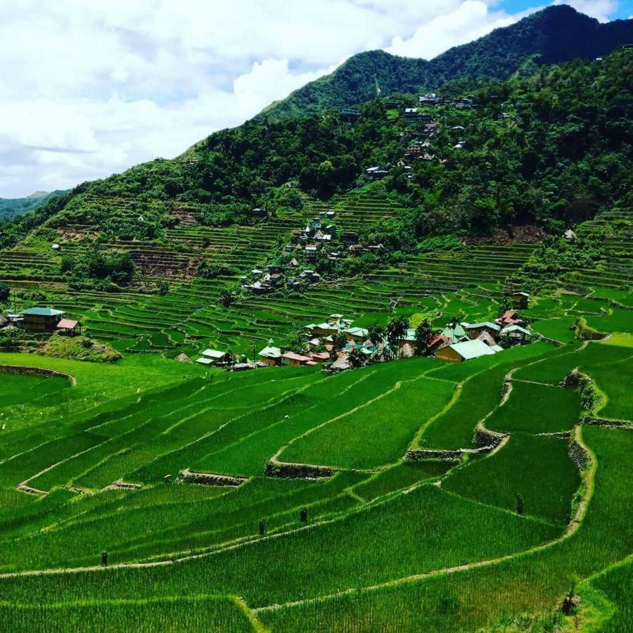 Batad Rita'S Mount View Inn And Restaurant Banaue Eksteriør bilde